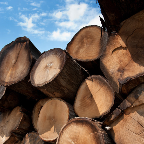 家具生產的材料採用北美的胡桃木，白橡木為主力，一部分特殊商品則採用山毛櫸、美國櫻桃木。